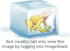 imageshack no funciona